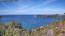 ./images/calvert/foggy-cove/20260926/foggy-cove20260926_132001M.jpg
