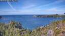./images/calvert/foggy-cove/20260926/foggy-cove20260926_133002M.jpg