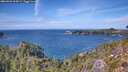 ./images/calvert/foggy-cove/20260926/foggy-cove20260926_134501M.jpg