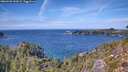 ./images/calvert/foggy-cove/20260926/foggy-cove20260926_135001M.jpg