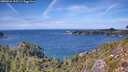 ./images/calvert/foggy-cove/20260926/foggy-cove20260926_135502M.jpg