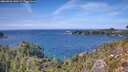 ./images/calvert/foggy-cove/20260926/foggy-cove20260926_140501M.jpg