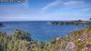 ./images/calvert/foggy-cove/20260926/foggy-cove20260926_141001M.jpg