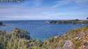 ./images/calvert/foggy-cove/20260926/foggy-cove20260926_142001M.jpg