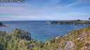 ./images/calvert/foggy-cove/20260926/foggy-cove20260926_143001M.jpg