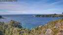 ./images/calvert/foggy-cove/20260926/foggy-cove20260926_143501M.jpg