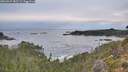 ./images/calvert/foggy-cove/20260927/foggy-cove20260927_082501M.jpg