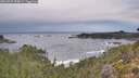 ./images/calvert/foggy-cove/20260927/foggy-cove20260927_084001M.jpg