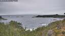 ./images/calvert/foggy-cove/20260927/foggy-cove20260927_095501M.jpg