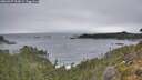 ./images/calvert/foggy-cove/20260927/foggy-cove20260927_100001M.jpg