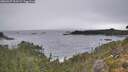 ./images/calvert/foggy-cove/20260927/foggy-cove20260927_100501M.jpg