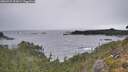 ./images/calvert/foggy-cove/20260927/foggy-cove20260927_101001M.jpg