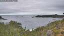 ./images/calvert/foggy-cove/20260927/foggy-cove20260927_103501M.jpg