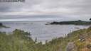 ./images/calvert/foggy-cove/20260927/foggy-cove20260927_104501M.jpg