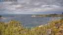 ./images/calvert/foggy-cove/20260927/foggy-cove20260927_113002M.jpg