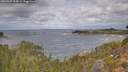 ./images/calvert/foggy-cove/20260927/foggy-cove20260927_114501M.jpg
