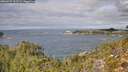 ./images/calvert/foggy-cove/20260927/foggy-cove20260927_123501M.jpg