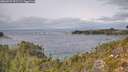 ./images/calvert/foggy-cove/20260927/foggy-cove20260927_131501M.jpg
