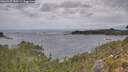 ./images/calvert/foggy-cove/20260927/foggy-cove20260927_140501M.jpg