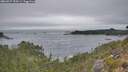 ./images/calvert/foggy-cove/20260927/foggy-cove20260927_154501M.jpg