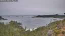 ./images/calvert/foggy-cove/20260927/foggy-cove20260927_175501M.jpg