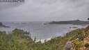 ./images/calvert/foggy-cove/20260928/foggy-cove20260928_074501M.jpg