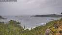 ./images/calvert/foggy-cove/20260928/foggy-cove20260928_081001M.jpg