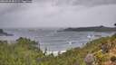 ./images/calvert/foggy-cove/20260928/foggy-cove20260928_081502M.jpg