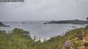 ./images/calvert/foggy-cove/20260928/foggy-cove20260928_082501M.jpg