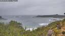 ./images/calvert/foggy-cove/20260928/foggy-cove20260928_083501M.jpg