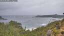 ./images/calvert/foggy-cove/20260928/foggy-cove20260928_084001M.jpg