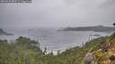 ./images/calvert/foggy-cove/20260928/foggy-cove20260928_085501M.jpg
