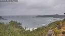 ./images/calvert/foggy-cove/20260928/foggy-cove20260928_091502M.jpg
