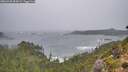 ./images/calvert/foggy-cove/20260928/foggy-cove20260928_095001M.jpg