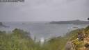 ./images/calvert/foggy-cove/20260928/foggy-cove20260928_102501M.jpg