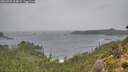 ./images/calvert/foggy-cove/20260928/foggy-cove20260928_104001M.jpg
