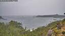 ./images/calvert/foggy-cove/20260928/foggy-cove20260928_104501M.jpg