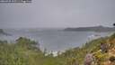 ./images/calvert/foggy-cove/20260928/foggy-cove20260928_105501M.jpg