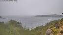 ./images/calvert/foggy-cove/20260928/foggy-cove20260928_115001M.jpg