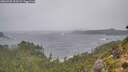 ./images/calvert/foggy-cove/20260928/foggy-cove20260928_123501M.jpg
