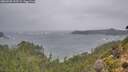 ./images/calvert/foggy-cove/20260928/foggy-cove20260928_133501M.jpg