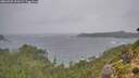 ./images/calvert/foggy-cove/20260928/foggy-cove20260928_151001M.jpg