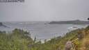 ./images/calvert/foggy-cove/20260928/foggy-cove20260928_171502M.jpg