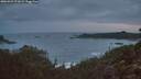 ./images/calvert/foggy-cove/20260929/foggy-cove20260929_071002M.jpg