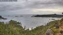 ./images/calvert/foggy-cove/20260929/foggy-cove20260929_074001M.jpg
