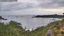 ./images/calvert/foggy-cove/20260929/foggy-cove20260929_074501M.jpg