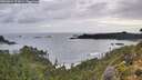 ./images/calvert/foggy-cove/20260929/foggy-cove20260929_075001M.jpg