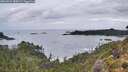 ./images/calvert/foggy-cove/20260929/foggy-cove20260929_080001M.jpg