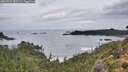 ./images/calvert/foggy-cove/20260929/foggy-cove20260929_081501M.jpg