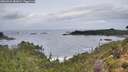 ./images/calvert/foggy-cove/20260929/foggy-cove20260929_082001M.jpg